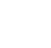 Logo SNPI